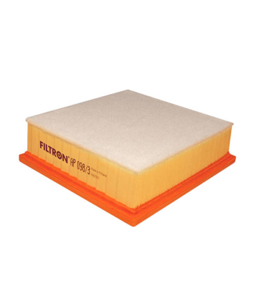Filtron AP 098/3